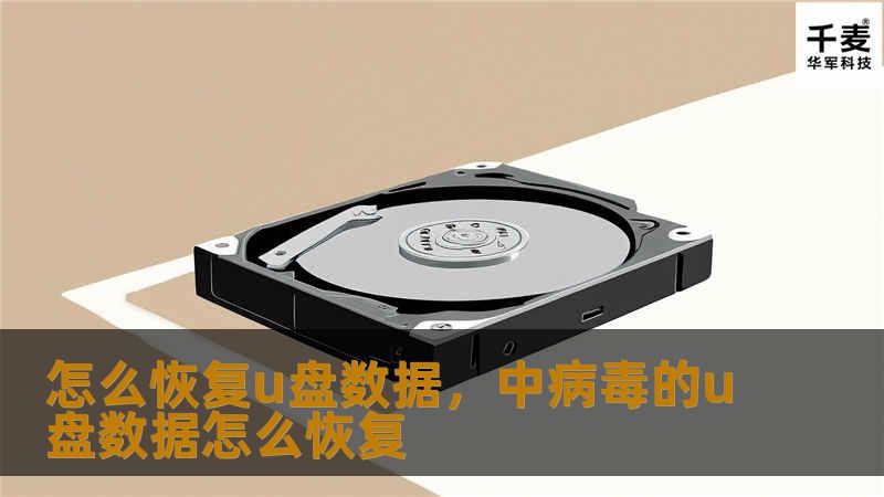 怎么恢复u盘数据，中病毒的u盘数据怎么恢复