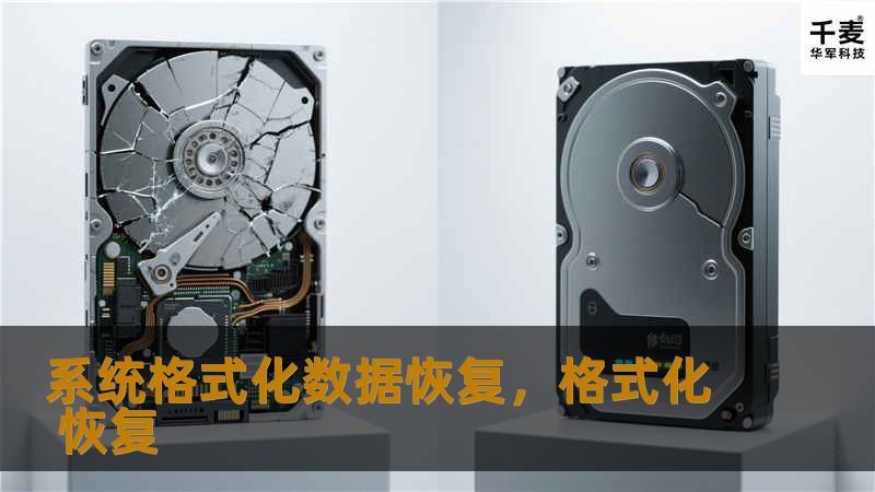 系统格式化数据恢复，格式化 恢复