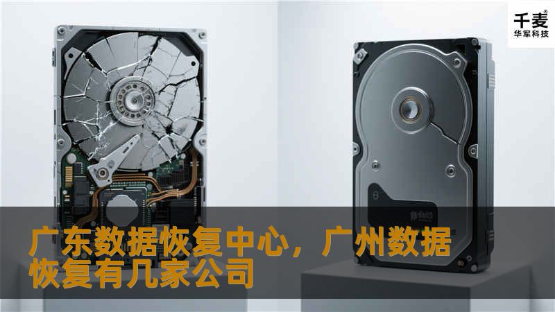 广东数据恢复中心，广州数据恢复有几家公司