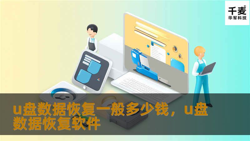 u盘数据恢复一般多少钱，u盘数据恢复软件