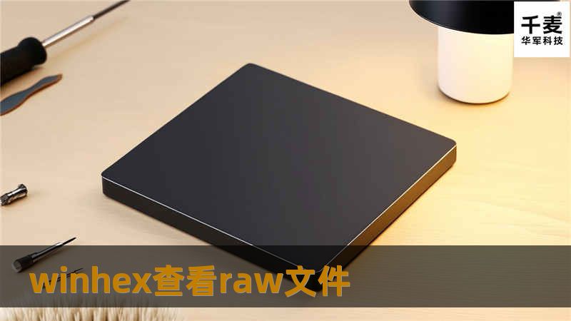 winhex查看raw文件