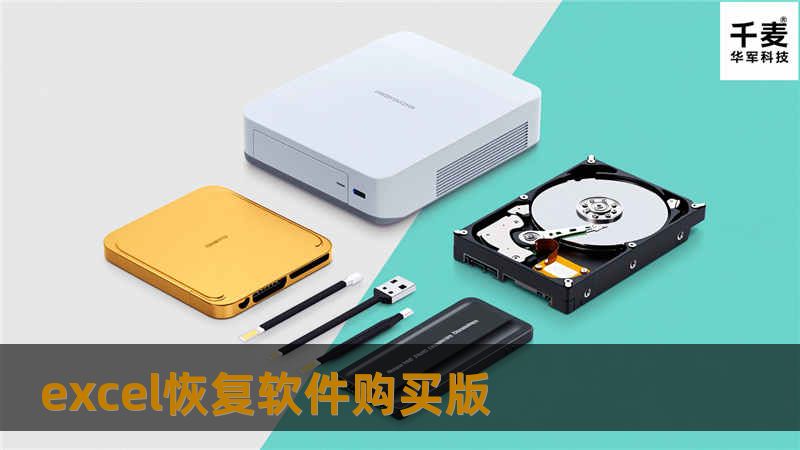 Excel文件误删、覆盖或无法打开怎么办？选对excel恢复软件购买版是关键！本文推荐正版工具、实测案例及购买避坑指南。