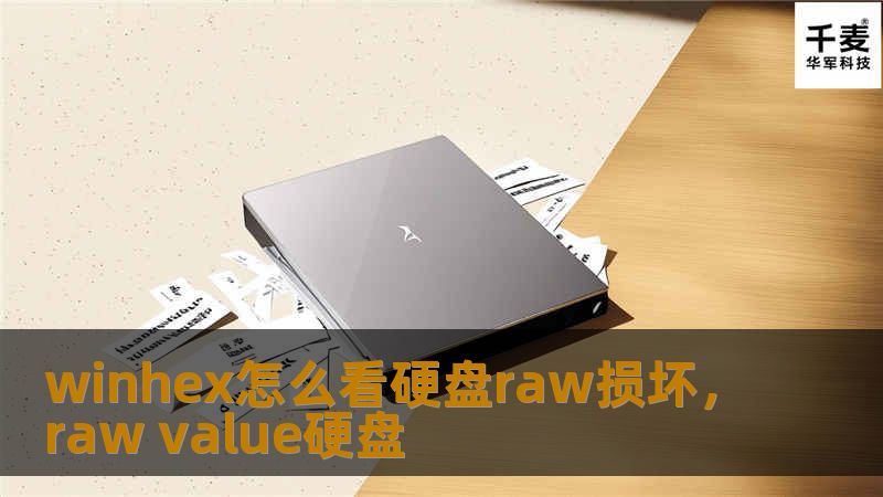 winhex怎么看硬盘raw损坏，raw value硬盘