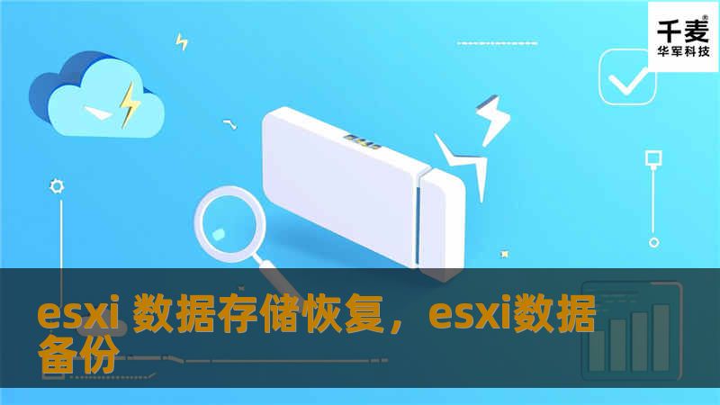 esxi 数据存储恢复，esxi数据备份