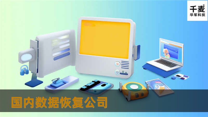 了解国内数据恢复公司的专业解决方案，帮助您快速恢复丢失的数据，提供详细的操作指南和建议。