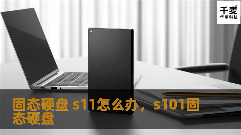固态硬盘 s11怎么办，s101固态硬盘
