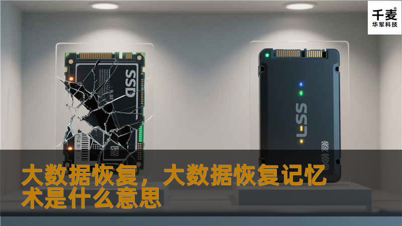 大数据恢复，大数据恢复记忆术是什么意思