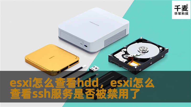 esxi怎么查看hdd，esxi怎么查看ssh服务是否被禁用了