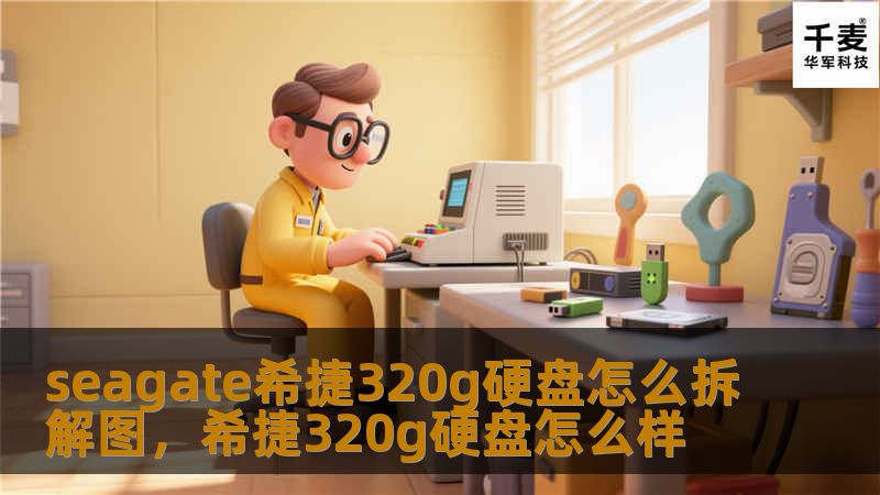 seagate希捷320g硬盘怎么拆解图，希捷320g硬盘怎么样