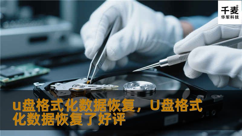 u盘格式化数据恢复，U盘格式化数据恢复了好评