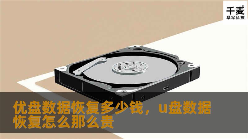 优盘数据恢复多少钱，u盘数据恢复怎么那么贵