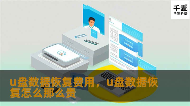 u盘数据恢复费用，u盘数据恢复怎么那么贵