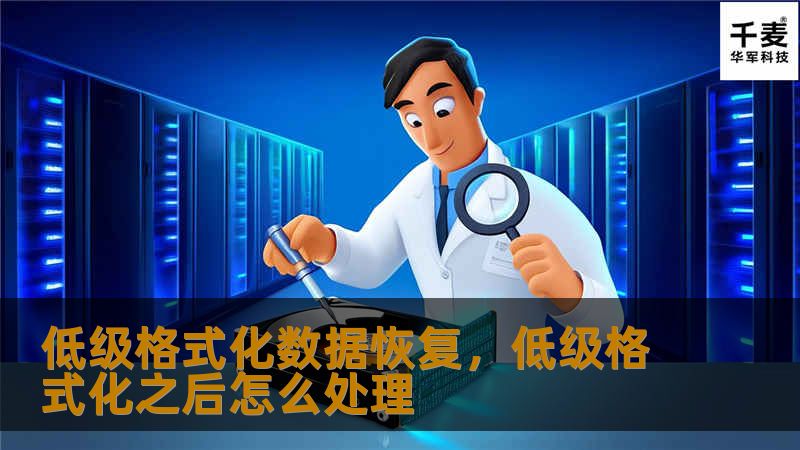 低级格式化数据恢复，低级格式化之后怎么处理