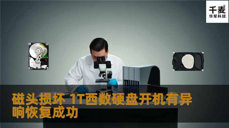 工程师对硬盘磁头损坏程度进行评估。根据磁头型号匹配要求选择合适的硬盘备件并在无尘室中对故障硬盘进行磁头更换操作，更换完成后将硬盘接入