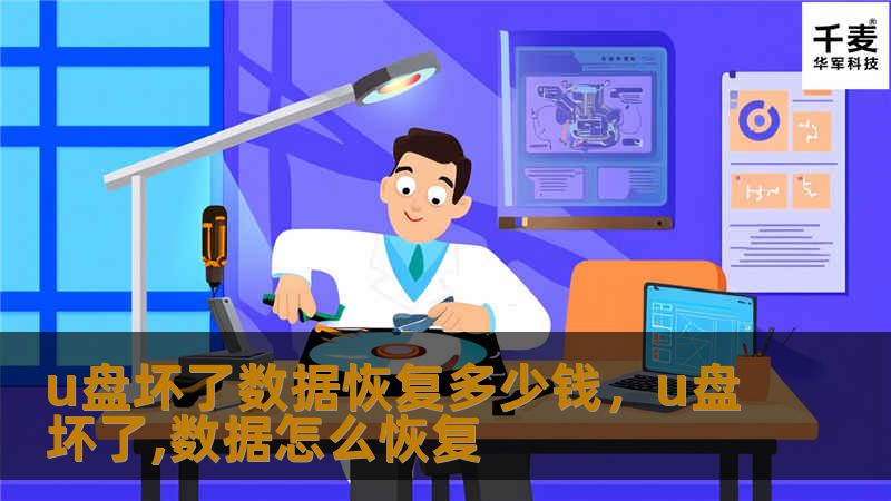 u盘坏了数据恢复多少钱，u盘坏了,数据怎么恢复