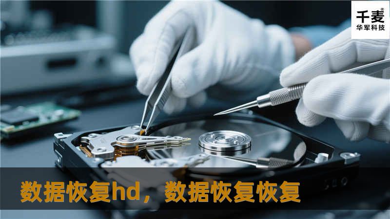 数据恢复hd，数据恢复恢复