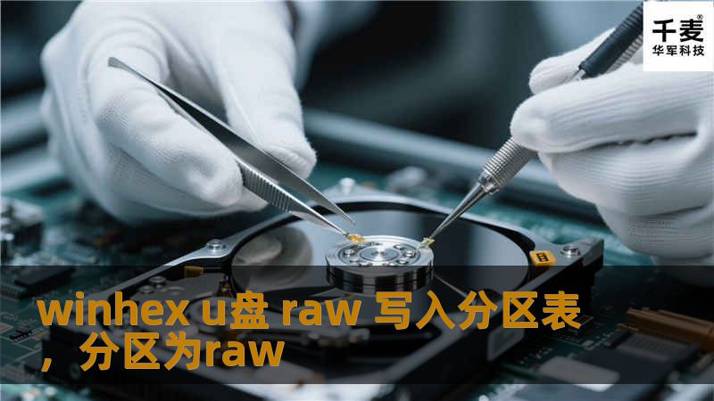 winhex u盘 raw 写入分区表，分区为raw