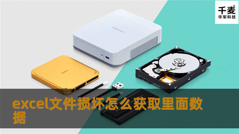 本文将详细介绍如何在Excel文件损坏的情况下获取里面的数据，提供有效的解决方案和专业的教程。