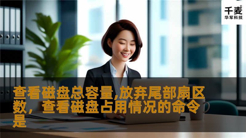 查看磁盘总容量,放弃尾部扇区数，查看磁盘占用情况的命令是