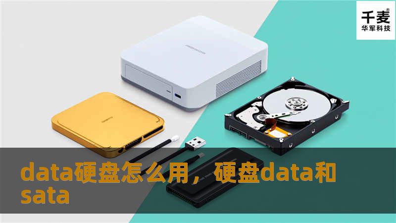 本文将全面解析如何正确使用data硬盘，帮助你高效管理和存储海量数据，从基础的硬盘选择到优化数据存储策略，一文读懂！
