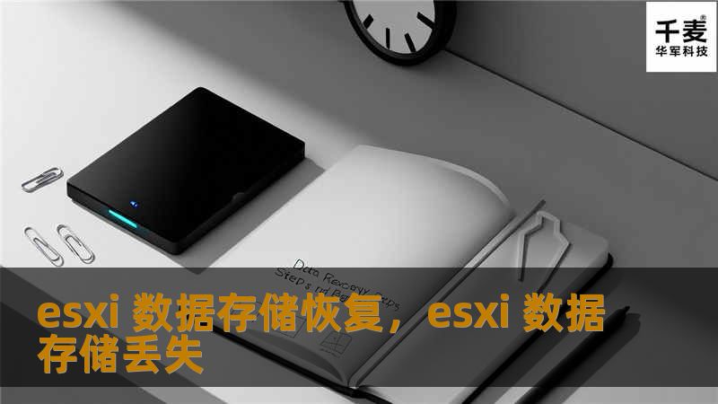 本文深入探讨了在VMwareESXi环境中，如何实现高效的数据存储恢复。我们将介绍恢复的常见挑战，分享应对策略，并探讨使用现代工具提高数据恢复成功率的方法。