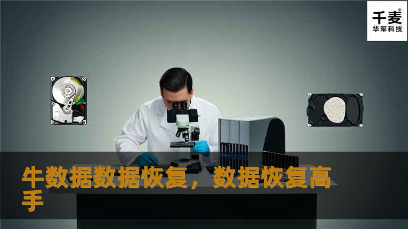 牛数据数据恢复，数据恢复高手