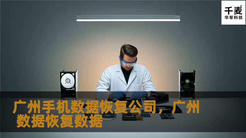 广州手机数据恢复公司,广州 数据恢复数据 广州手机数据恢复公司,广州 数据恢复数据