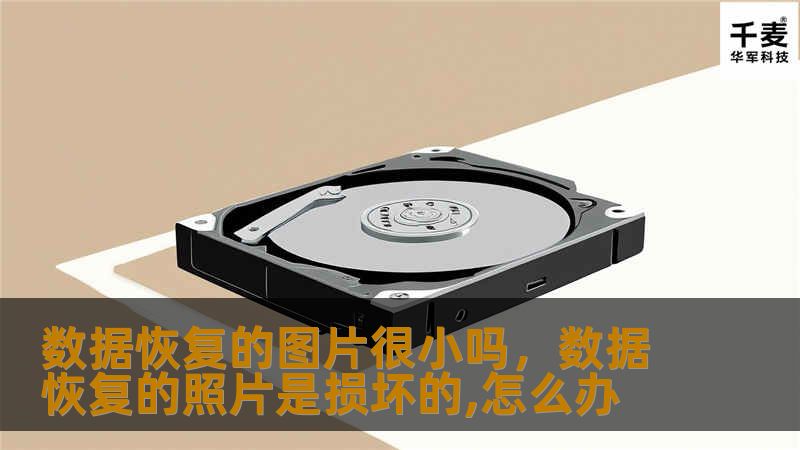 想知道数据恢复的图片是否很小？本文将为您详细解答，揭示小图片数据恢复的可能性与方法，帮助您轻松应对数据丢失问题。