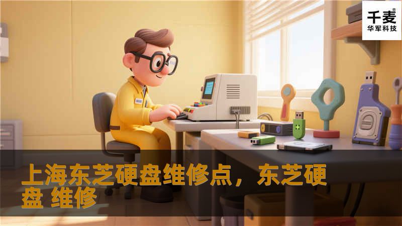 上海东芝硬盘维修点提供专业的硬盘维修服务，涵盖数据恢复、硬件修复等，确保您的数据安全无忧。