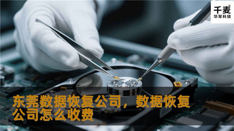 在数字化时代，数据的重要性不言而喻。东莞数据恢复公司凭借先进的技术和服务，帮助您挽回丢失的重要数据，保障您的数字资产安全无虞。