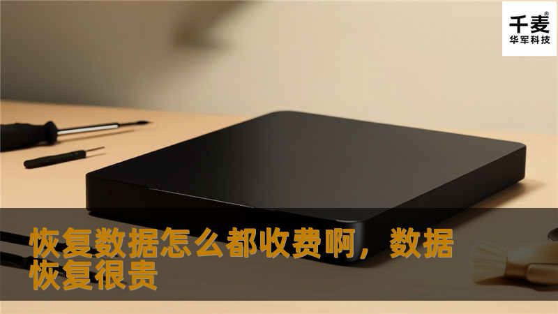 为什么数据恢复服务总是收费？这篇文章将为你揭示数据恢复的复杂性以及收费的合理性，同时提供一些实用的建议，帮助你更好地应对数据丢失问题。