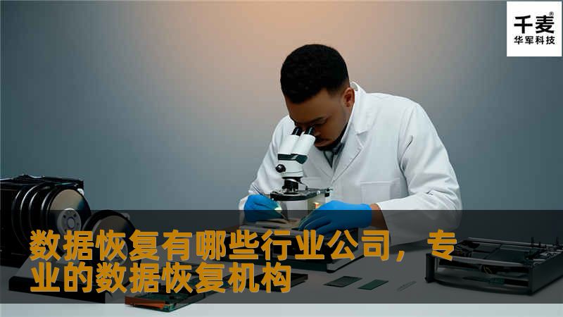 数据恢复有哪些行业公司，专业的数据恢复机构