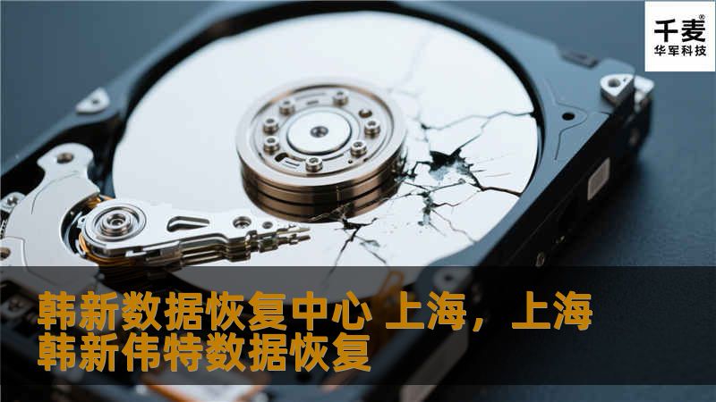 韩新数据恢复中心 上海，上海韩新伟特数据恢复