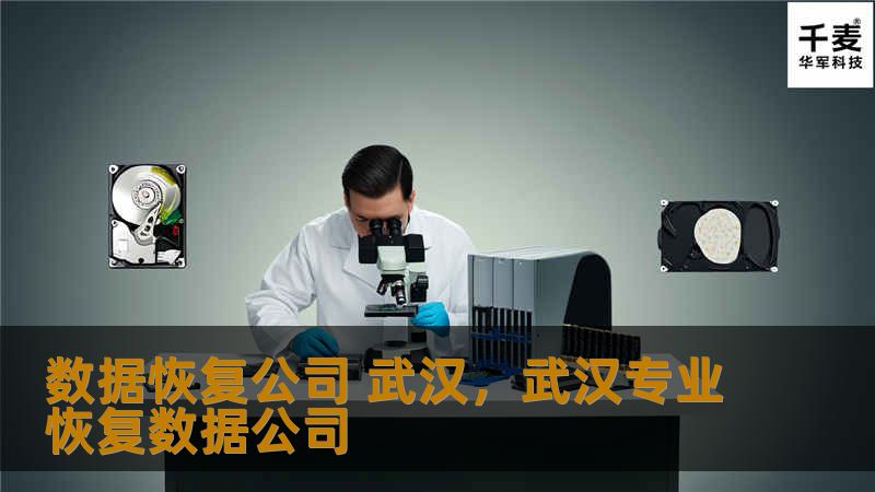 数据恢复公司 武汉，武汉专业恢复数据公司