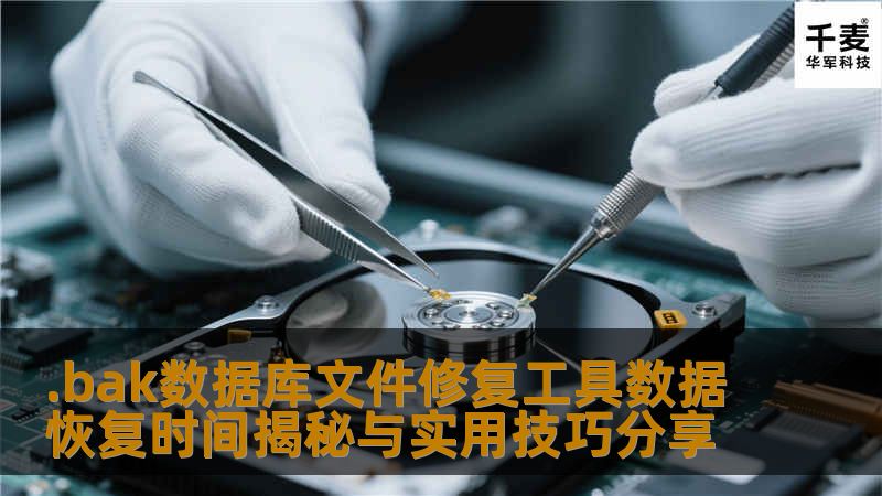 探索.bak数据库文件修复工具的数据恢复时间揭秘与实用技巧，帮助用户有效恢复数据。