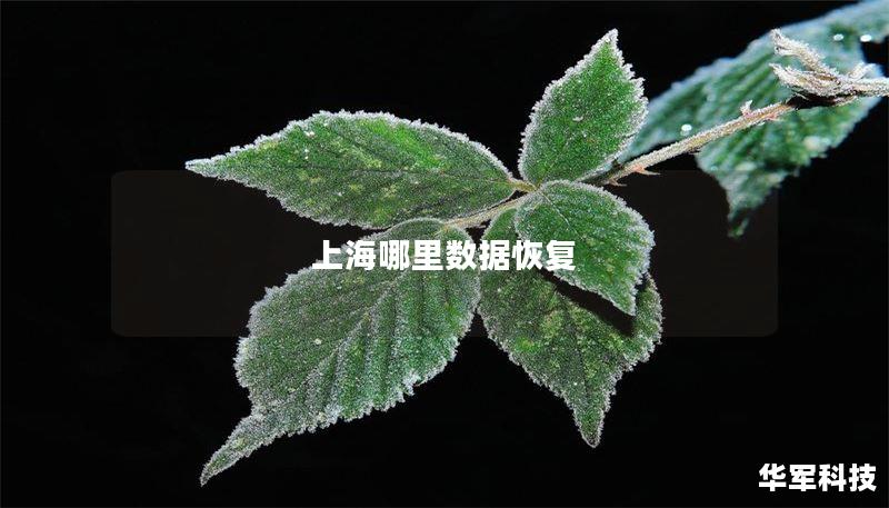 本文将为您详细介绍上海的数据恢复服务，包括常见故障、操作方法、真实案例分析以及用户常见问题解答，帮助您快速找到解决方案。