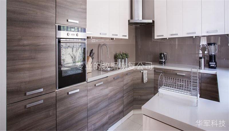 专业数据恢复服务：恢复丢失数据的最佳解决方案