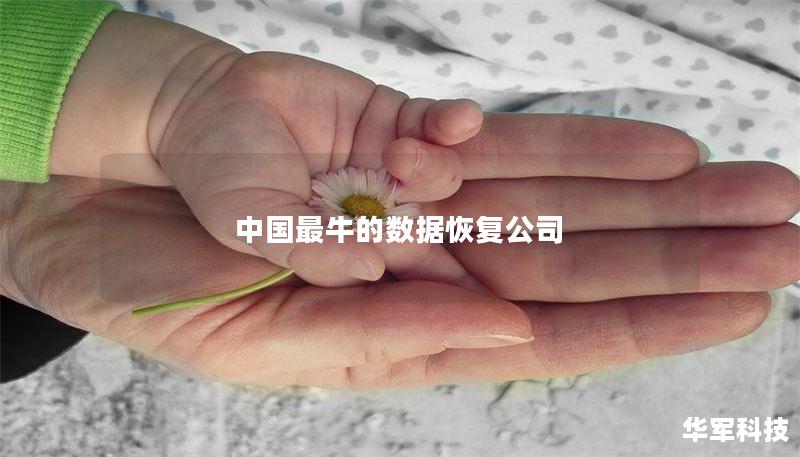 中国最牛的数据恢复公司：专业数据恢复服务解析