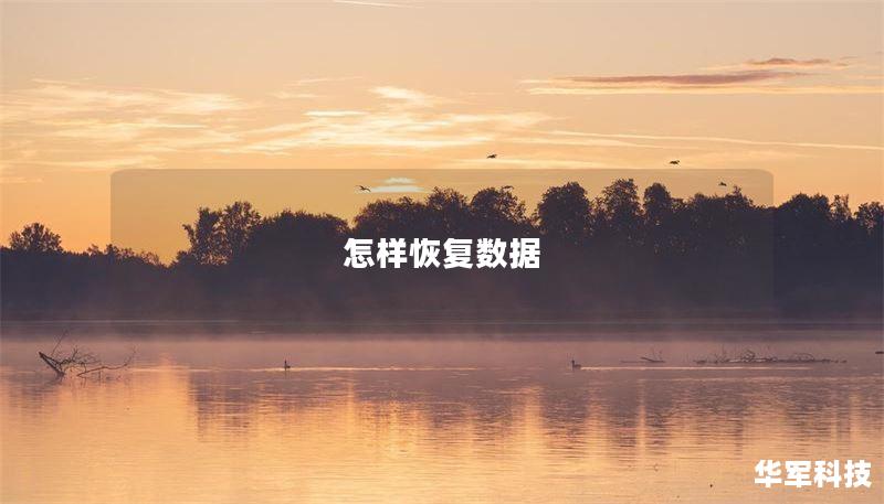 怎样恢复数据 怎样恢复数据