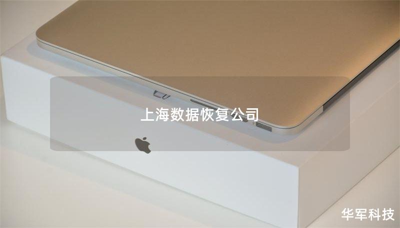 上海数据恢复公司：专业数据恢复服务与解决方案