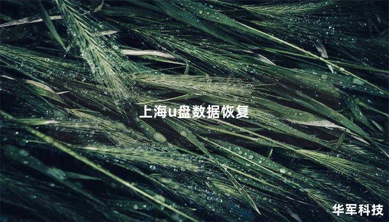 上海U盘数据恢复：专业解决方案
