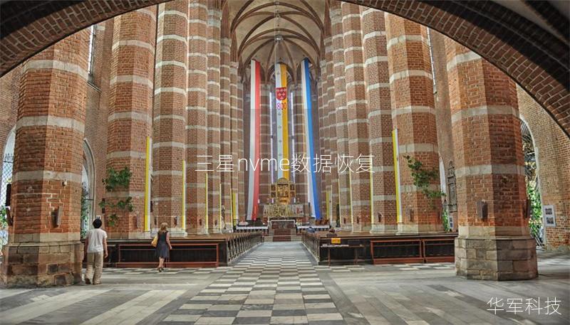 深入了解三星NVMe数据恢复的最佳实践，提供详细的操作方法和真实案例分析，帮助您高效恢复丢失的数据。