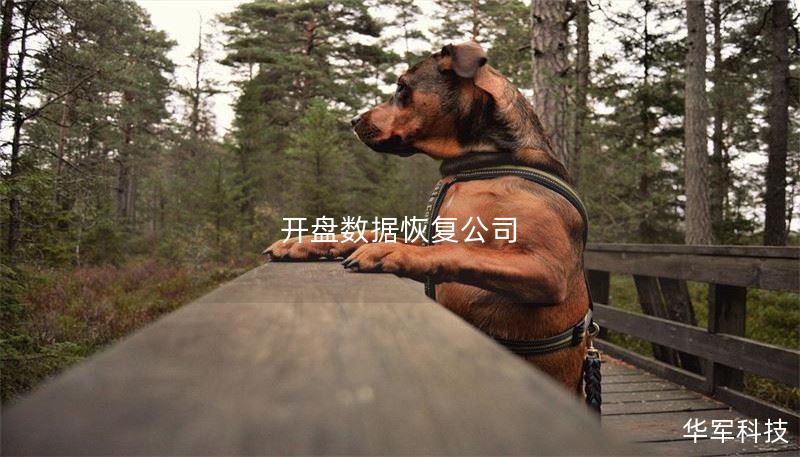 开盘数据恢复公司