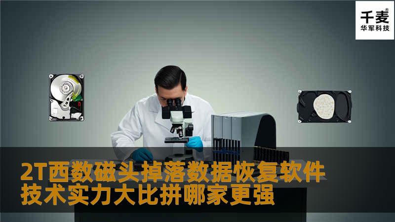 深入分析2T西数磁头掉落数据恢复软件技术实力大比拼，帮助用户选择最佳数据恢复方案。