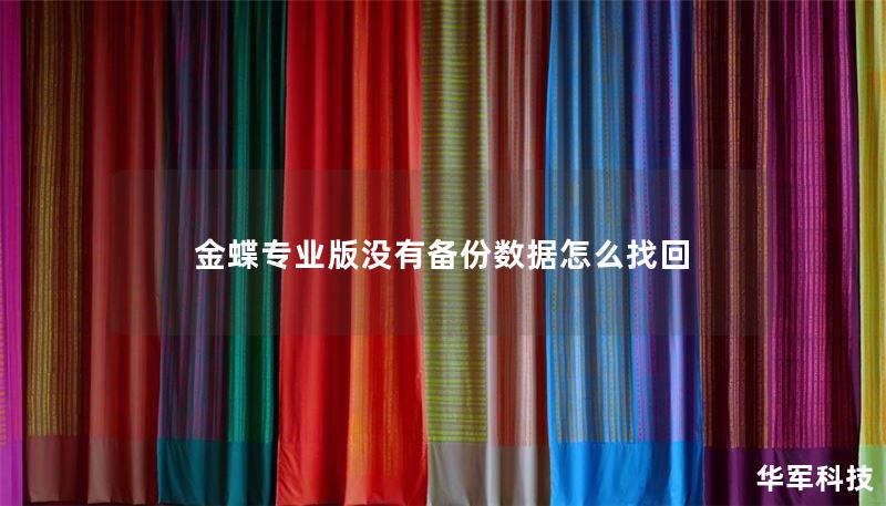 本文详细介绍了金蝶专业版没有备份数据的找回方法，包括操作步骤、真实案例分析及用户常见问题解答，帮助您有效解决数据丢失问题。