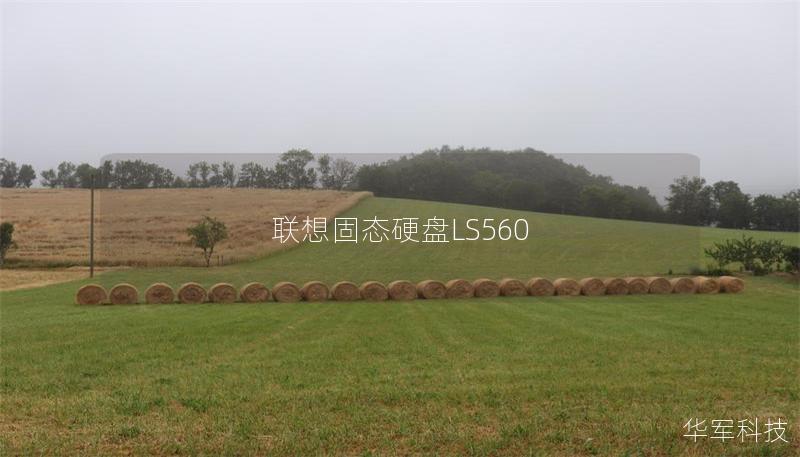 联想固态硬盘LS560