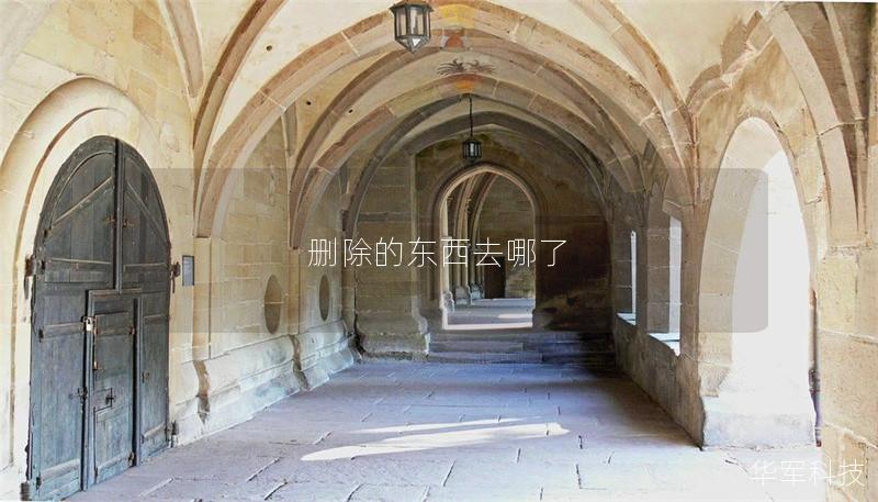 探讨删除的数据去向，如何恢复丢失的数据，提供详细操作方法与案例分析。