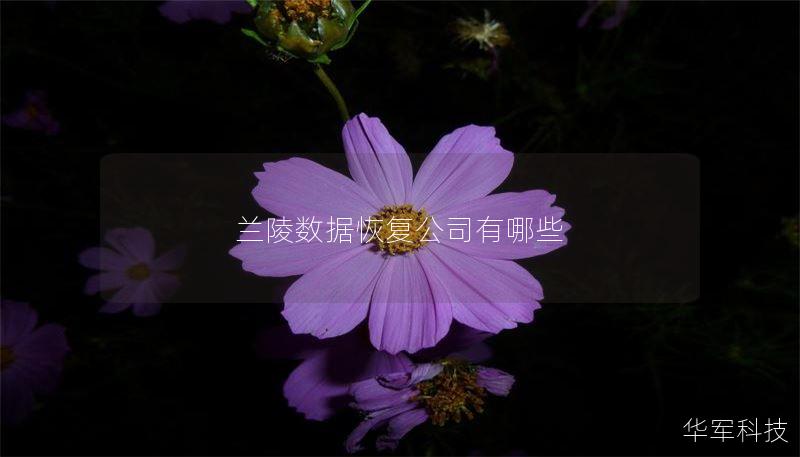 兰陵数据恢复公司有哪些