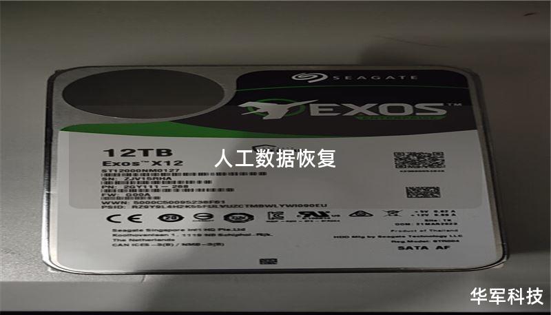 了解人工数据恢复的有效方法，解决数据丢失问题，提供详细的操作教程和真实案例分析，帮助您快速恢复重要数据。