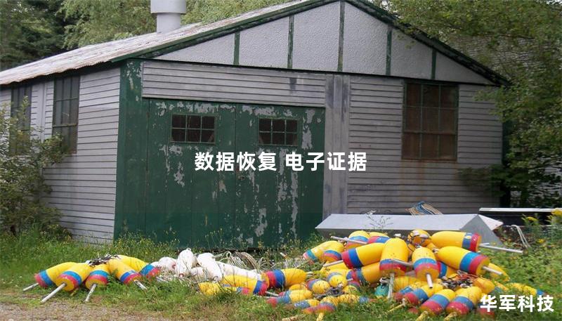 数据恢复与电子证据：全面解析与实用指南